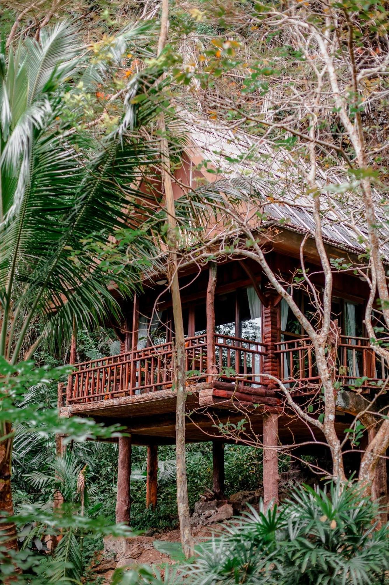 Tree House