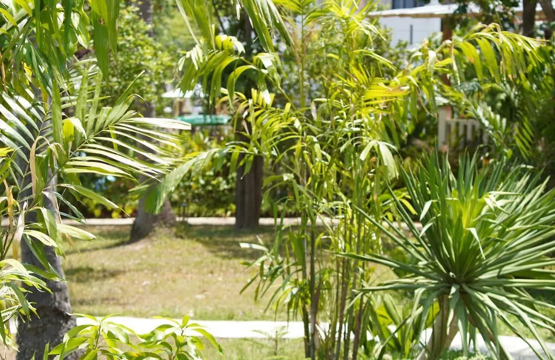 Treeya Lanta-1