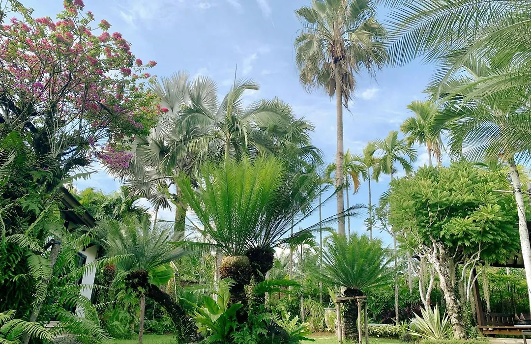 Baan Pinya Balinese Style Pool Villa-1