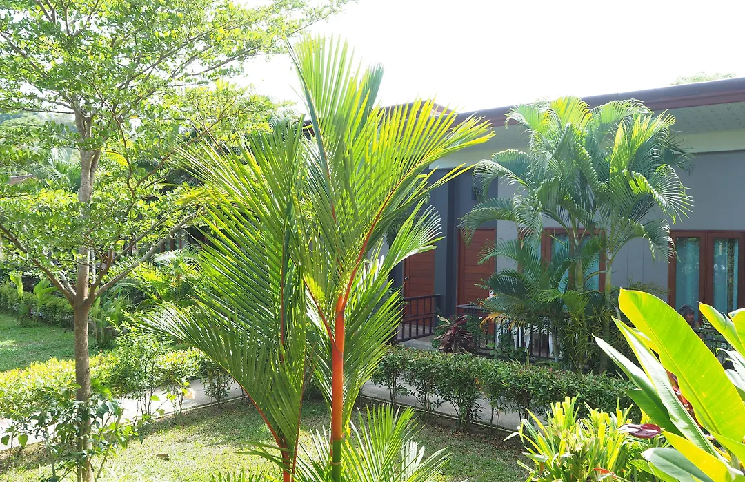 Andawa Lanta Resort-1