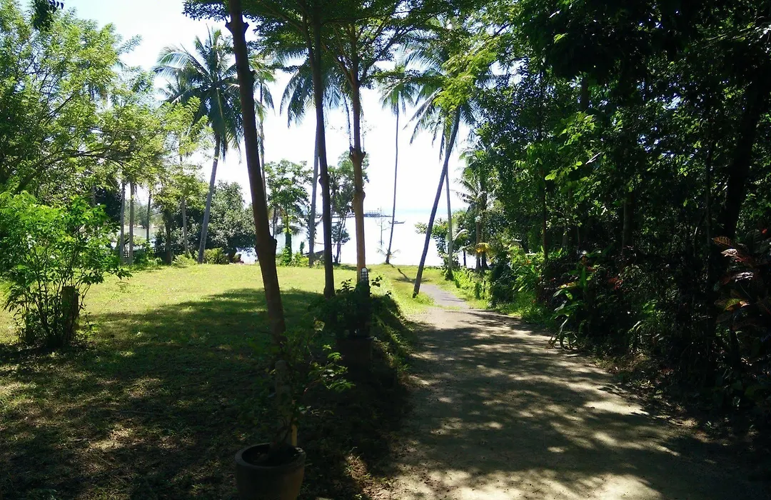 Tropical Delight Resort-1