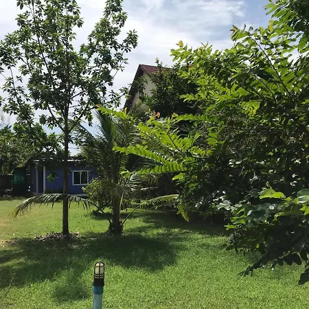 Tara House-3