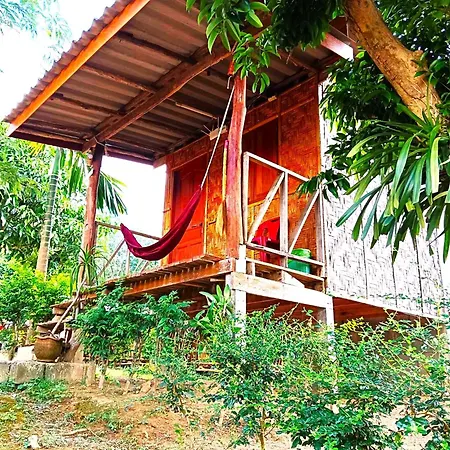 Asama Bungalow-2