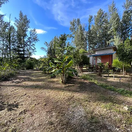 Hippy Trail Beach Village Bungalows-2