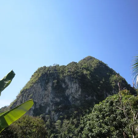 Phanom Bencha Mountain Resort-3