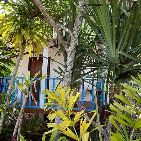 Blue Sky Bungalow-3