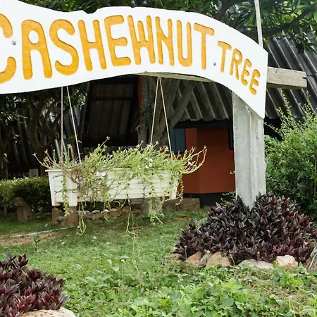 Cashewnut Tree Bungalows-2