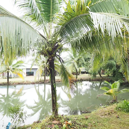 Oyo 75515 Sairung Farmstay-2
