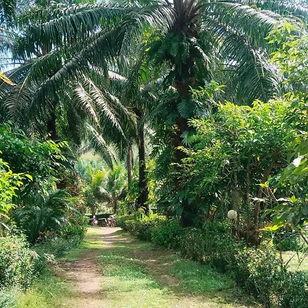 Mada Lanta Mai Keaw-2