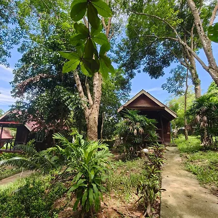 Jungle Hill Beach Bungalow-2