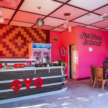 Oyo 797 Pink House Bungalow-3