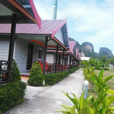 Phiphi Coralbay-2