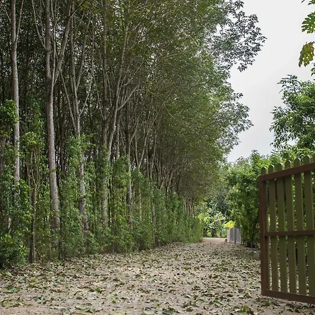 Baan Aree Private Pool-2