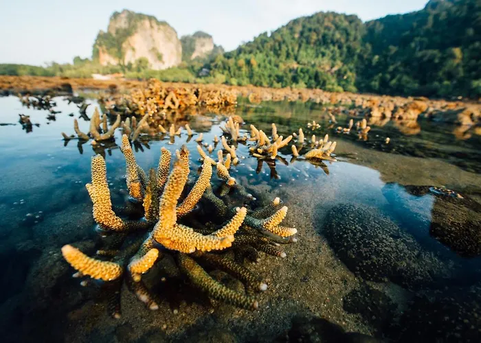 Railay Garden View Resort
